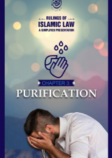 Purification