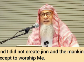 "And I did not create Jinn & The Mankind except to worship me"