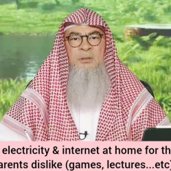 Can I use Electricity Internet at home for things parents dislike (games, lectures..)