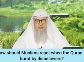 How should muslims react when disbelievers burn the Quran?