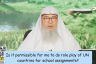 Is it permissible for me to do role play of UN countries for school assignment #islam