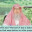 Is making dua before / after salah as Prophet said The best of dua is dubur as salat
