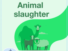 Animal slaughter