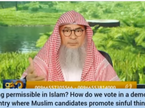 How to vote for muslim candidate when he promotes sinful things? Is voting permissible