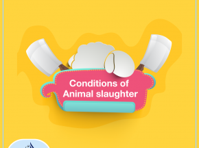 Conditions of Animal slaughter