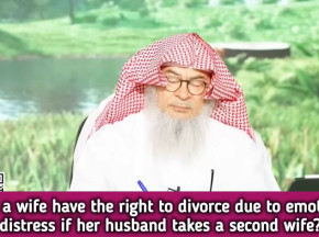 Does wife have right 2 divorce due 2 emotional distress if her husband takes2nd wife