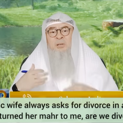 Quarrelsome wife always asks for divorce in arguments, returned mahr Are we divorced