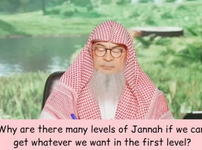 Why are there many levels of Jannah if we can get whatever we want in first level?