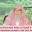Why are there many levels of Jannah if we can get whatever we want in first level?