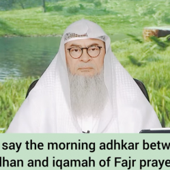 Can we say the morning adkhar between adhan / athan & iqamah of fajr prayer?