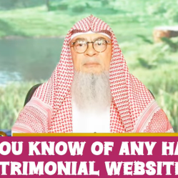 Do you know of any halal Matrimonial Websites? #islam #islamic #allah #quran #hijab