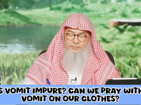 Is vomit impure? Can we pray with vomit on our clothes #islam #islamic #quran #halal assim al hakeem