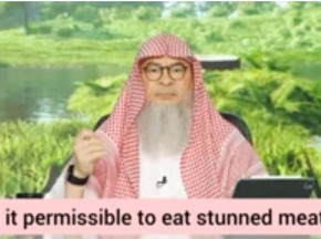 Is it permissible to eat stunned meat ( in the west )