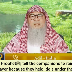Prophet asked companions to raise hands in salah cuz they used to hide idols under armpits?