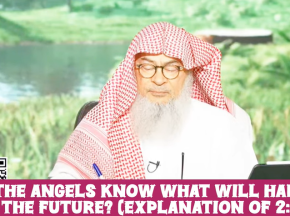 Do Angels know what will happen in the future? Explanation of 2:30 (Quran) #quran assim al hakeem