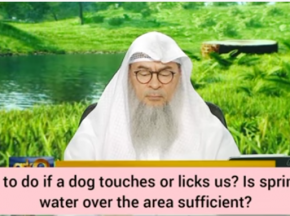 What to do if dog licks you or your clothes? Is sprinkling water over it suffficient