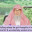 When falling asleep he got thoughts of mocking Prophet ﷺ & smiled, is he a kafir?