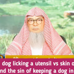 Dog licking a utensil VS your skin or clothes. Its urine & sin of keeping dog as pet