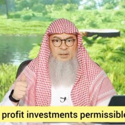 Are fixed profit investments permissible or riba? Types of prohibited investments