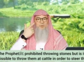 Prophet ﷺ‎ prohibited throwing stones but can we throw them at cattle to steer them?