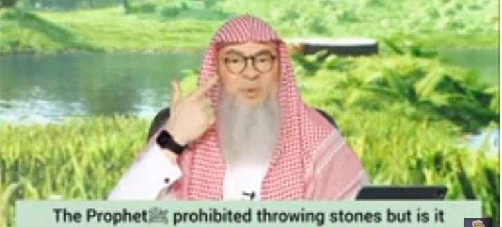 Prophet ﷺ‎ prohibited throwing stones but can we throw them at cattle to steer them?