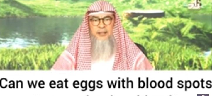 Can we eat eggs with blood spots & meat that has blood in veins etc?