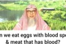 Can we eat eggs with blood spots & meat that has blood in veins etc?