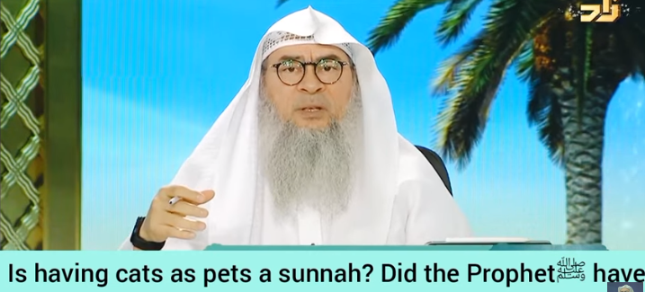 Did Prophet have a cat named Muezza? Is having cats as pets a sunnah?