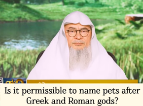 Is it permissible to name Pets after Greek Gods #islam #islamic #quran #allah #hijab