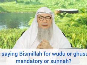 Is saying Bismillah for wudu & ghusl mandatory or sunnah?