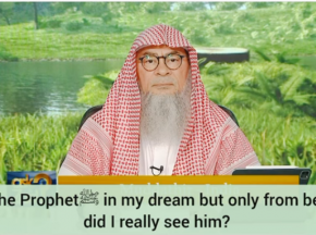 Saw the Prophet ﷺ‎ in my dream but only from behind, did I really see him?
