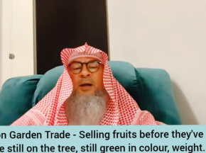 Garden trade - selling fruits before ripened, while still on tree, green in color, weight