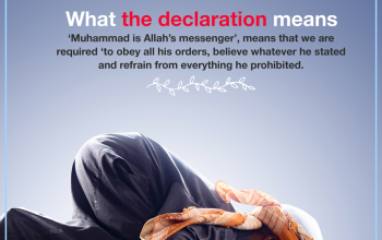 What the declaration means