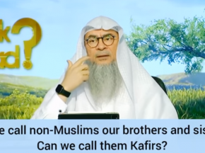 ​Can we call a non muslim Brother or Sister? Can we call a non muslim Kafir?