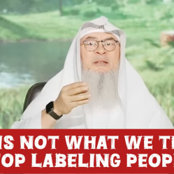 Blaming Zad Academy for a Sheikh's view! It's not what we teach Stop labeling people