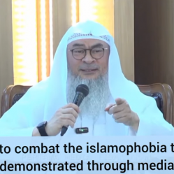 How to combat Islamophobia that is demonstrated through media?