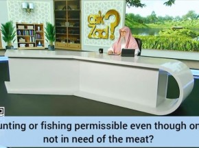 Is hunting or fishing for fun, without the need for the meat, permissible in Islam?