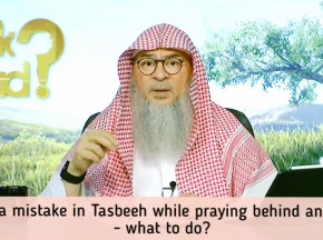 Made mistake in Tasbeeh in prayer (subhana rabbiyal aala in ruku) behind Imam / alone