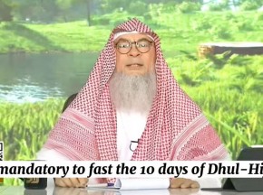 Is it mandatory to fast first 10 days of dhul hijjah? #Assim