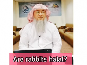 Are Rabbits halal to eat?