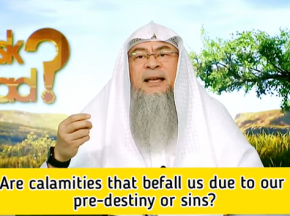 Are the calamities that befall us due to pre-destiny or our sins?