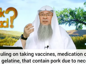 Ruling on taking vaccines, medicines or using gelatine that contain pork