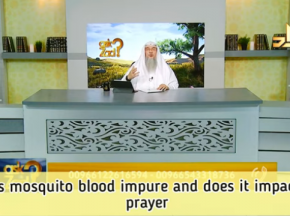 Is Mosquito blood impure and does it impact our prayer?