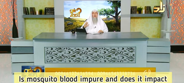 Is Mosquito blood impure and does it impact our prayer?