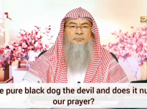Is the pure black dog the devil & does it nullify our prayer?