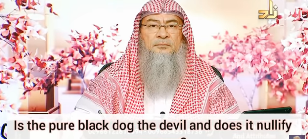 Is the pure black dog the devil & does it nullify our prayer?