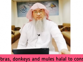 Are Zebras, Donkeys & Mules halal to consume?