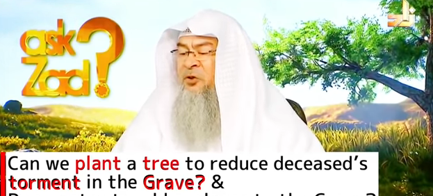 Can we plant a tree to reduce torment of grave & Pour water for coolness of the grave