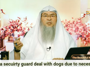 Can a security guard deal with dogs due to necessity?