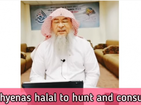 Are Hyenas halal to hunt and eat?